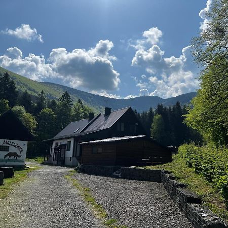 Apartmán Jízdárna Malenovice Malenovice  Exteriér fotografie