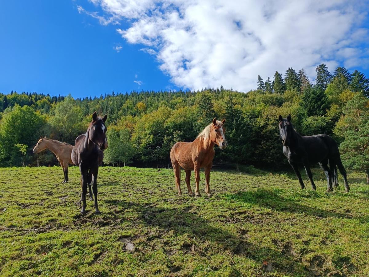 Apartmán Jízdárna Malenovice Malenovice  Exteriér fotografie