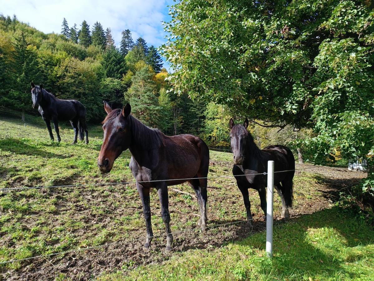 Apartmán Jízdárna Malenovice Malenovice  Exteriér fotografie