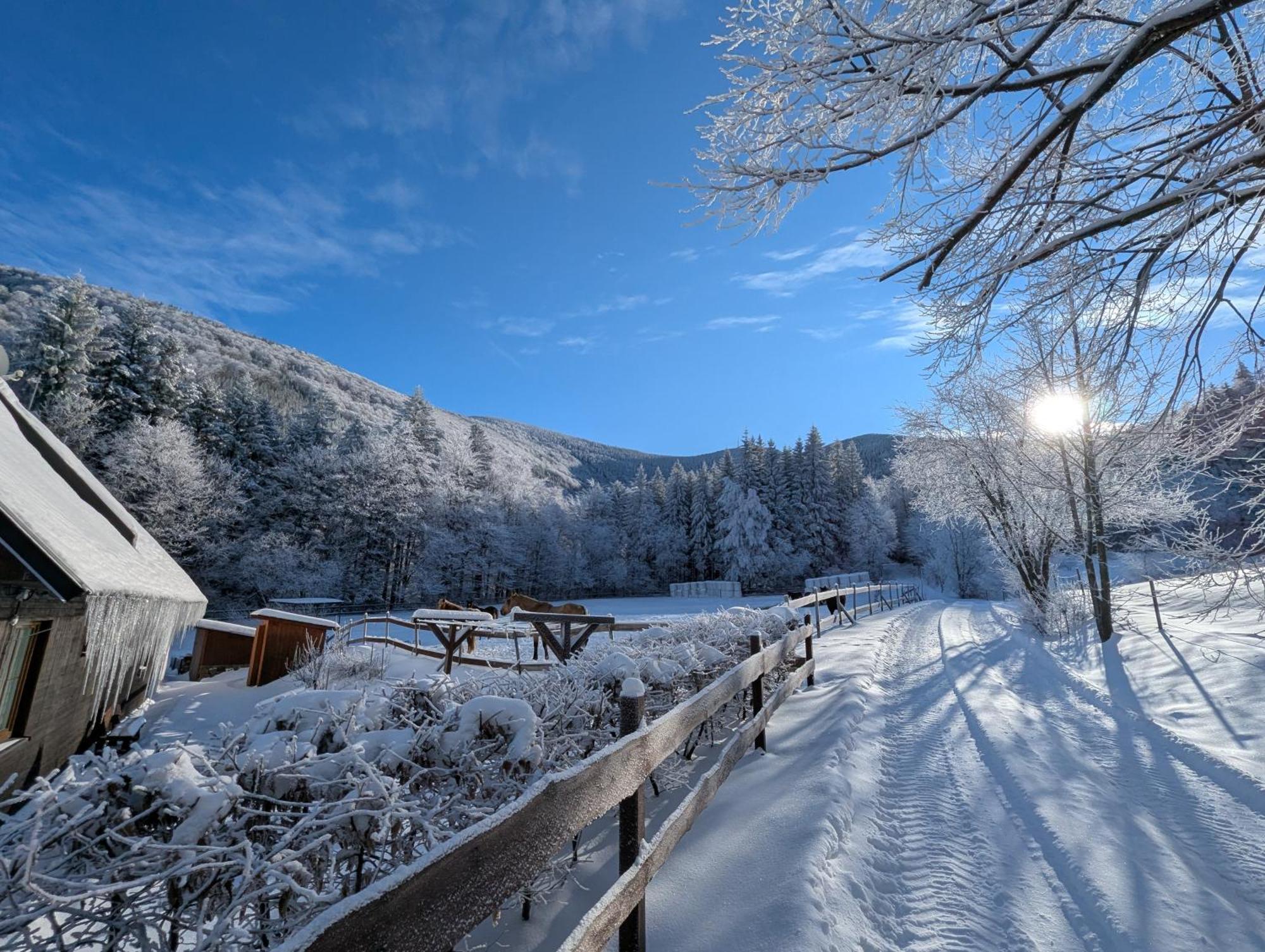 Apartmán Jízdárna Malenovice Malenovice  Exteriér fotografie